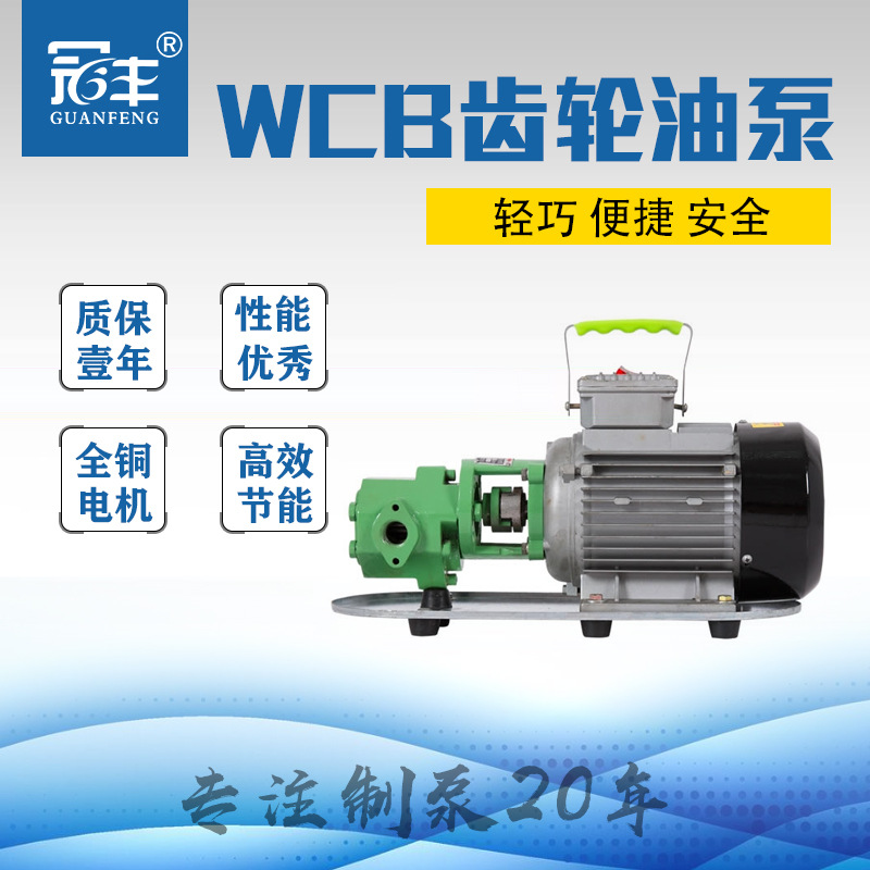 供应便携式油泵 齿轮油泵  WCB-30 效率高 手提方便轻松