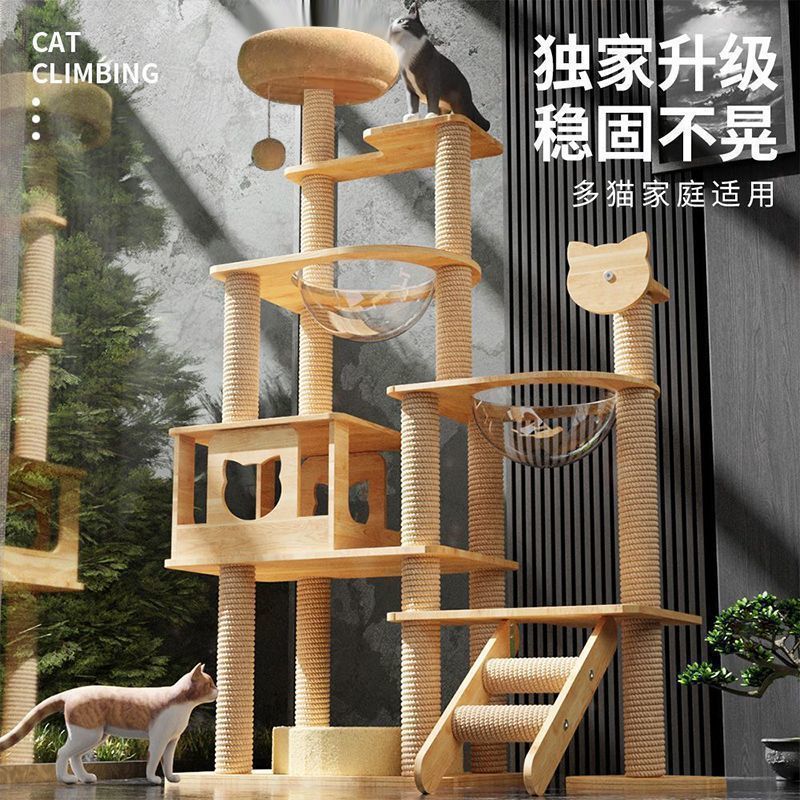 5905a172-0768-4eec-9ff1-fa52d948bc62.jpe