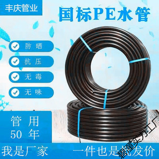 Peˮ�� �ԁ�ˮ�ܟ������z3�� 4�� 6�ֹ� ���Ϻ�Ӳ��1��