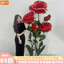 ˇ滨ֹްõ廨̈ꐻYFb