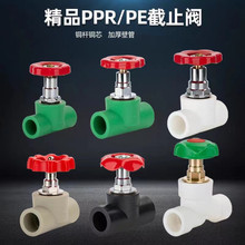 厂家批发PPR截止阀4分家装热熔升降阀卡簧式铜截止阀阀芯20多规格