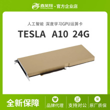 Ӣ���_NVIDIA A10 24G �@��AI��ȌW��Ӌ��Ӗ���������ٌ��IGPU��