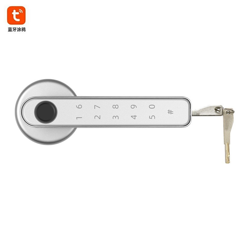 Antiguo graffiti Bluetooth cerradura de la huella digital teléfono móvil desbloqueo sala interior Oficina vidrio contraseña cerradura de la puerta cerradura inteligente