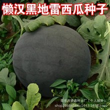 НhڵϷNѺƤtϷNԭbļˮNӴȫ