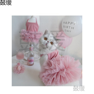 寵物公主裙貓咪衣服春夏季結婚紗禮服芭蕾泰迪狗狗生日蓬蓬裙紗裙