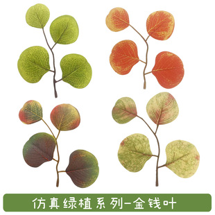 �羳�Gֲ��c�廨���ֶY�����bٻ����X�~�ȼ����~����ֲ�����