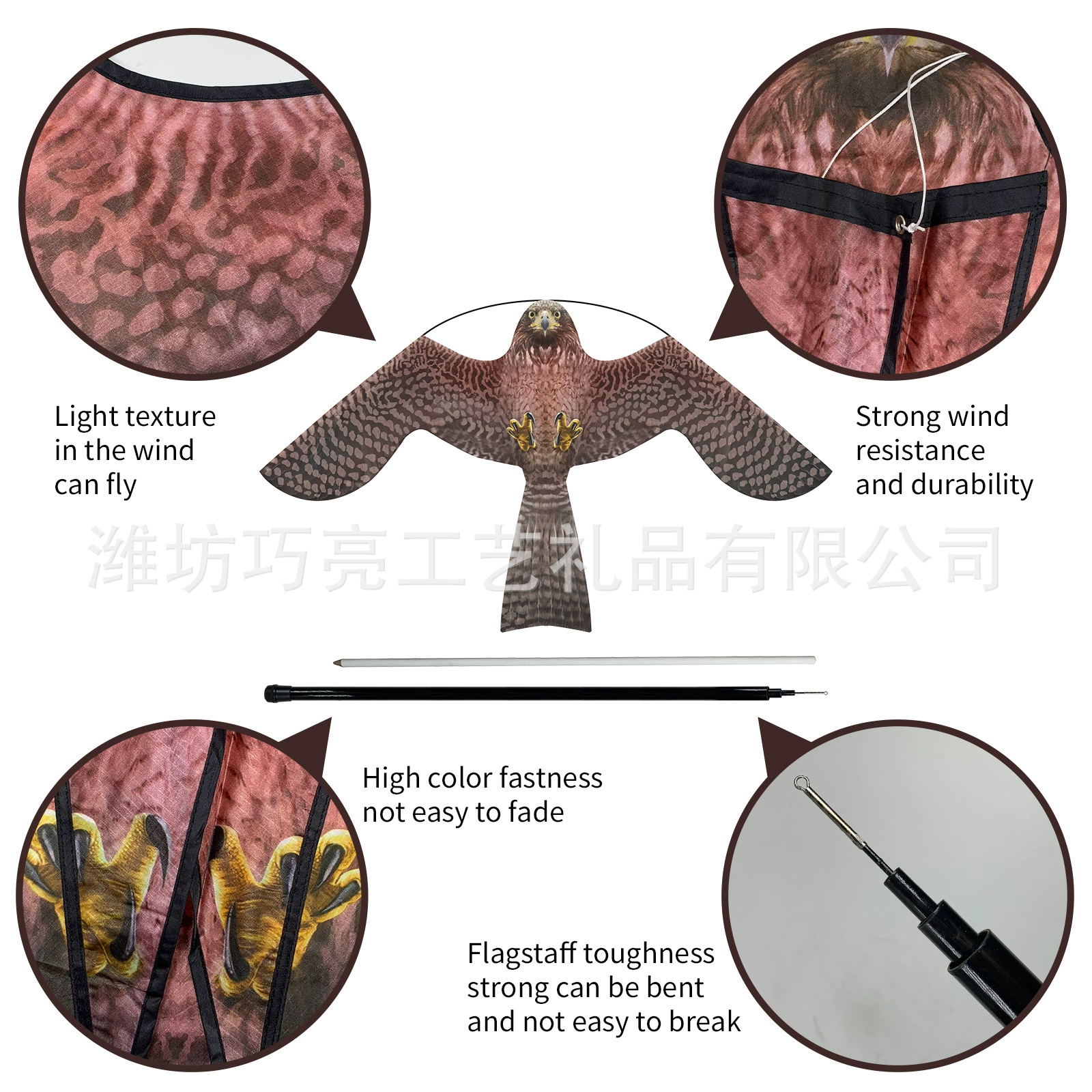 Kite, eagle