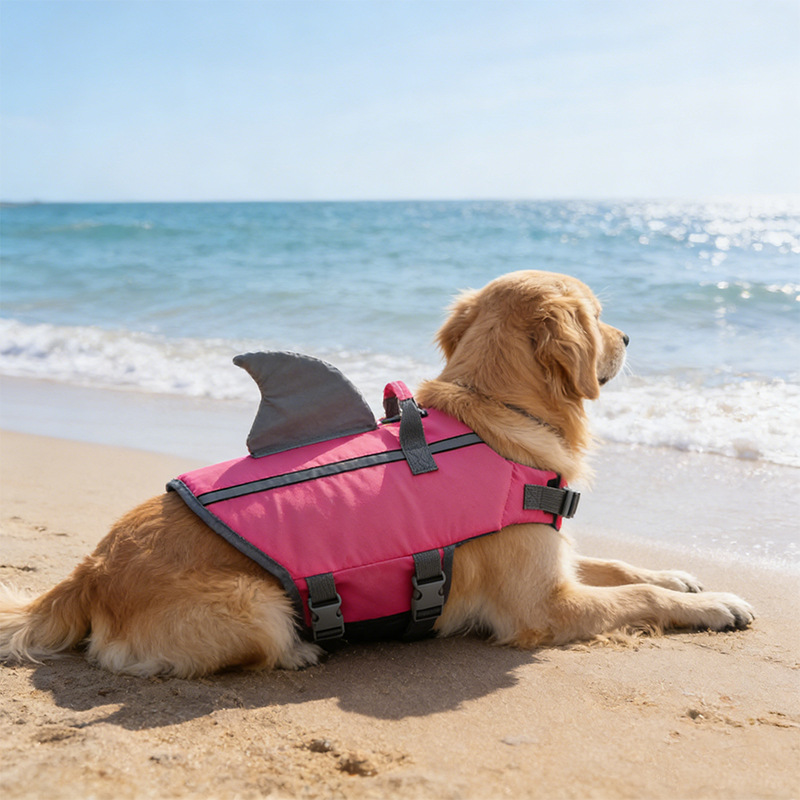 Shark Fin Dog Swimsuit