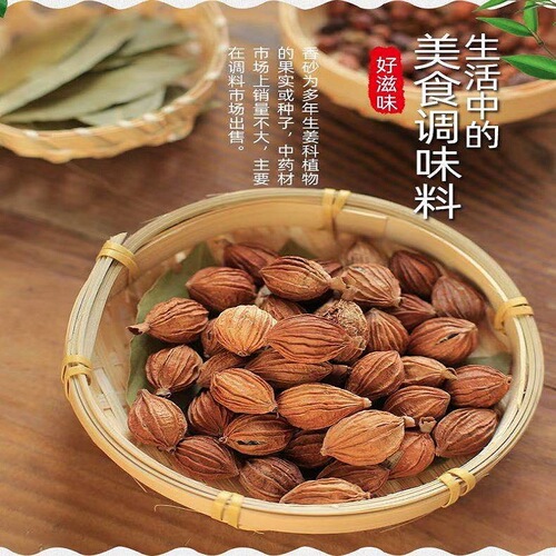 Wholesale sourced from Sichuan: Premium, fully dried Amomum villosum—ideal for enhancing the aroma and flavor of meat stews and other dishes as a versatile spice seasoning.