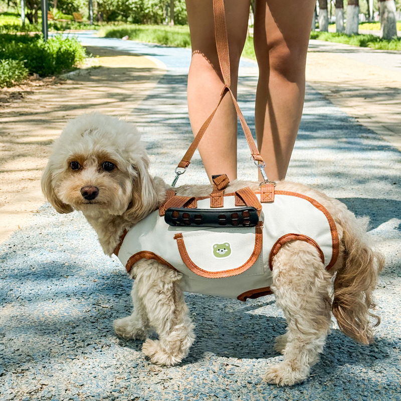 小型犬・中型犬用犬用リード、持ち運び可能なペットハーネス、ベストセット、テディビションペット服、クロスボーダー|undefined