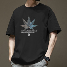 �������ļ�100%�����ذ�t�����Ƴ���2025�¿������ʽС�����·�