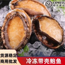 冷冻鲍鱼肉带壳鲍鱼批发冷冻品商用捞汁海鲜带壳鲍鱼批发支持代发