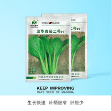 пïA߲˷Nɶ̖๣˷NsϺ༚͟owSN