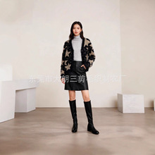 2026�������Ứ���KŮ��ᘿ�ë�����ǈD���A�I�_���L������