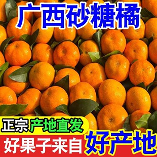 ���ڏV��ɳ�ǽ۱�Ƥ����ɰ����С�������r���]��������ٮ���ˮ��