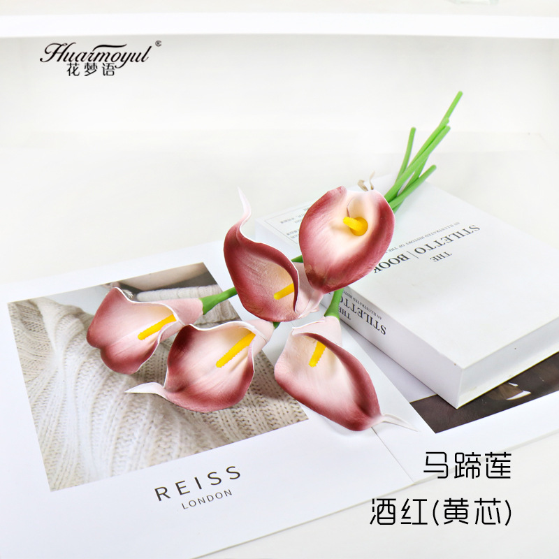 칼라 릴리-버건디(노란색 코어)