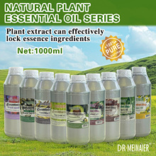 �羳 ֲ�ﾫ�Ͱ�Ħ������ȫ��1000ml õ��SPA��޹�����̝��� ���Q