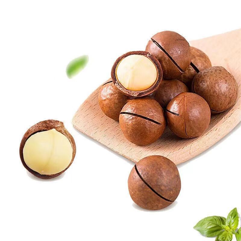 Macadamia Nuts【Shipped】2023 New Arrival Milky Thin Shell Opened 250g Pack Hand-Picked Macadamia Nuts