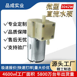 供应3042直流隔膜水泵户外手压电动便携机12V24V高压微型自吸水泵