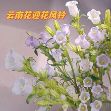 �L⏻��r�л��Ӽ���ϻ���ֱ�l�L⏻�ˮ��Gɫ�L⏻��r��ֱ�lһ��