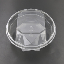 ��؛�˽�����һ����PET͸�����ܵ������ �����Ʒɳ����֦��¶��