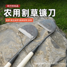 �r��砵���ݵ��i䓸����׹��ߵ��_�Ŀ�������ޘ�֦���⿳��