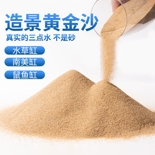 �쾰�S���ɳ�~���쾰��ɰϪ��ʯ������漚ɳ�҃�ɳ�P��������ɰ