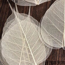 �����~�} ��Ȼ��ˇ�N���~�Ӳ����ֹ�diy �U�՘��~ �˱�����Ѻ����
