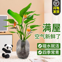 ˮ�������Bֲ�����Ի��ܿ͏d�҃�����Gֲ�Q���m���ռ�ȩ�ļ�����