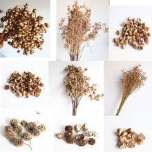 金色尤加利果僵尸果十字果相思豆小米果开心果蜡烛DIY创意礼物