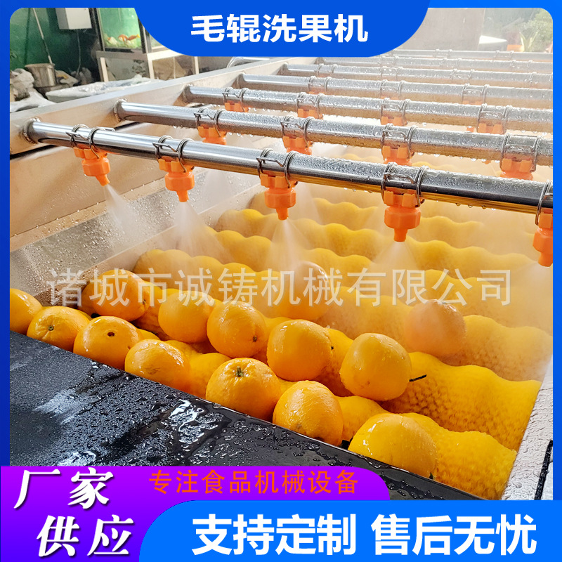 商用毛桃平行毛辊清洗机304不锈钢芒果毛刷清洗机洗果机支持定制
