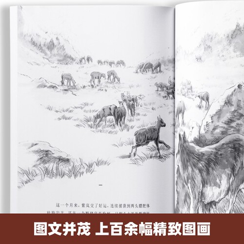 Limited to 79 copies, Wolf King Dream: Full 5-volume set, Shen Shixi Animal Novels Picture Book Series for Primary School Students