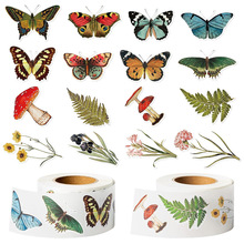 500�N/��2.5cm�������䮐���N������N�bY�в����z�N���˺�