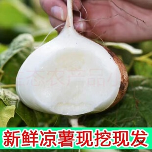 �Ĵ������F�ڬF�l���ϛ��Ϯ����׵ع����lˮ�����Ե��惺ɳ������