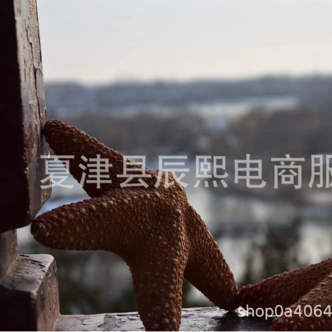 Органическая проба, декорации, домашний декор, опт