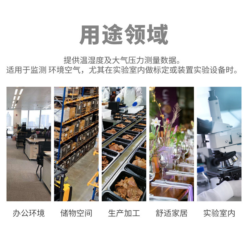 德图testo622温湿度计实验室台式电子绝压表数显大气压力表气压表