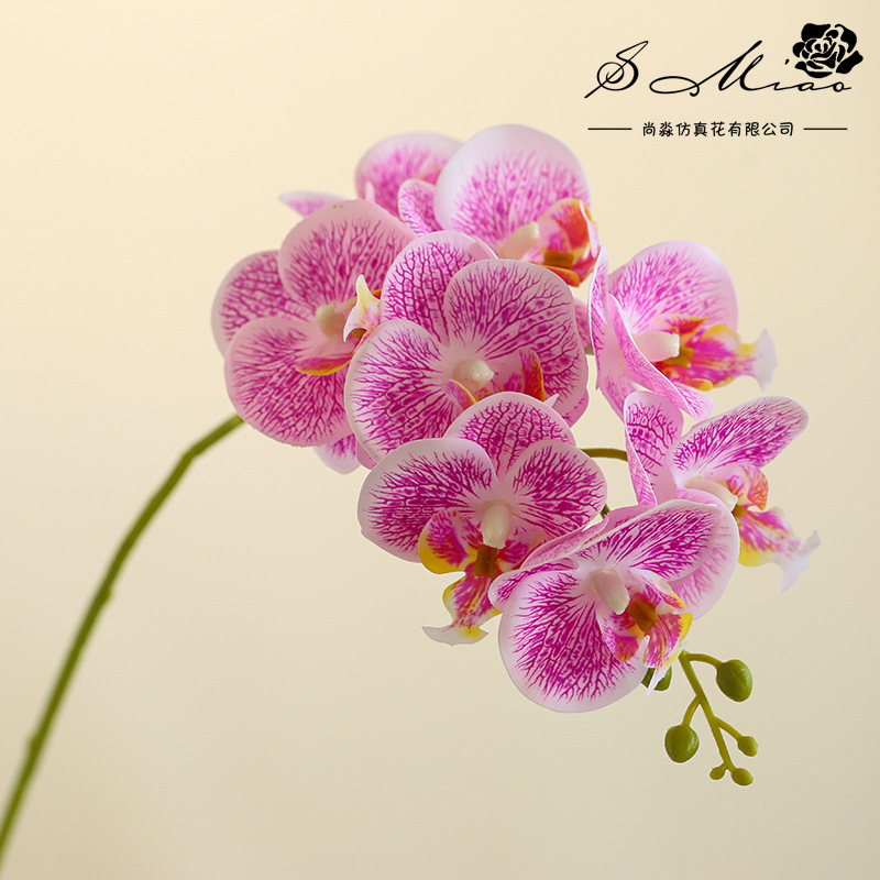 8 flores 3 hojas se sienten Phalaenopsis bonsai flor artificial de gama alta sala de estar decoración floral artificial en maceta flor artificial image 13