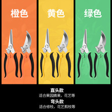 绿化园林工具修枝剪刀摘果蔬修枝剪刀鸟嘴花艺园艺修枝剪厂家批发