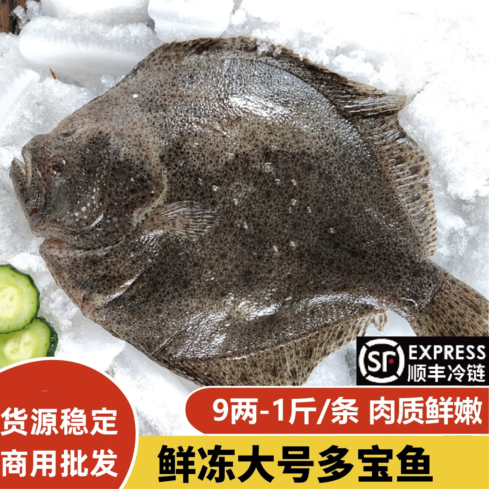 新鲜冷冻多宝鱼大号活冻海鲜新鲜比目鱼大海鱼冷冻八宝鱼饭店商用