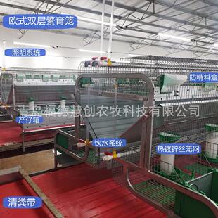 ���ӻ\�ӷ�ֳ�\ �Wʽ�û\�B���÷N���p�ӻ\��