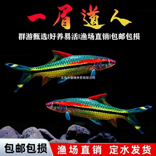 һü����Ұ��һü���˼tü�����~�ݸ��~�Ꭷ�~�^�p�~���w�~���]