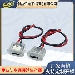 TYPE-C 2p直圧式注入防水母座透明