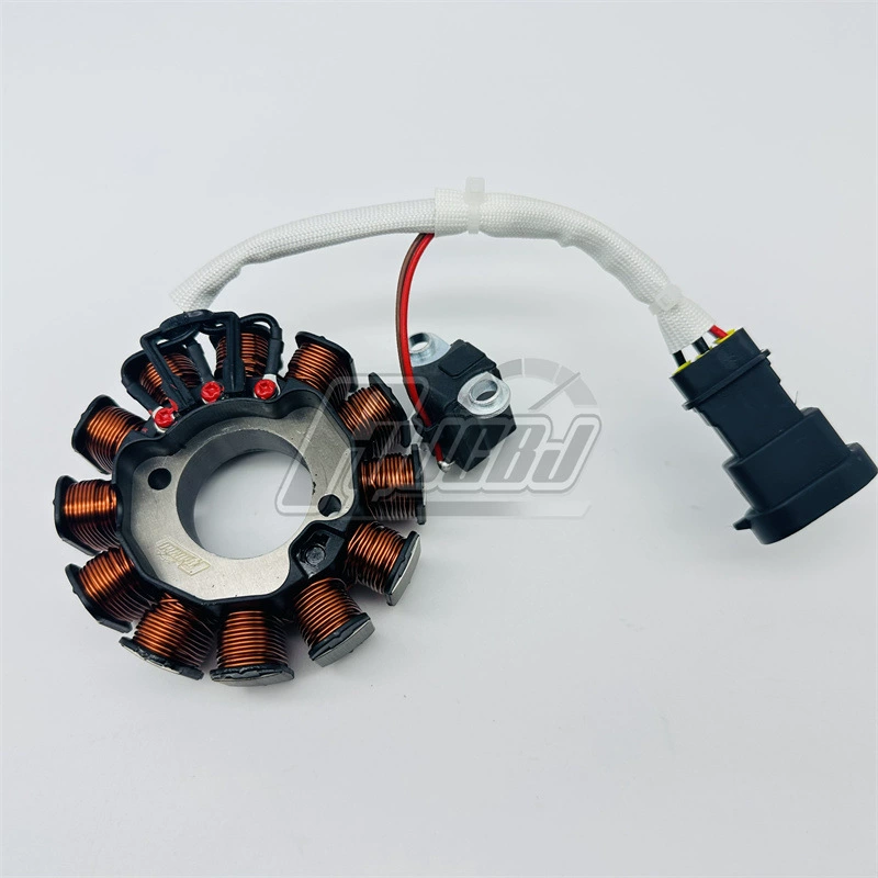 Поставка Biaqiao Lady EFI BYQ100T-V/50 трехклапанный магнето статор электрораспылить катушку