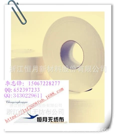 其他无纺布;热轧无纺布;涤纶面料