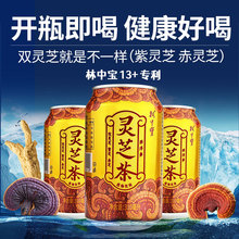 Ќ`֥310ml*12/B`֥֥ݲ