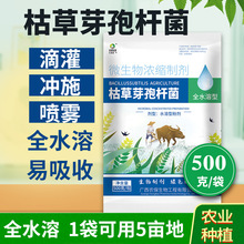 500g 水溶型枯草芽孢杆菌微生物菌剂种植作物枯萎根腐立枯1000亿