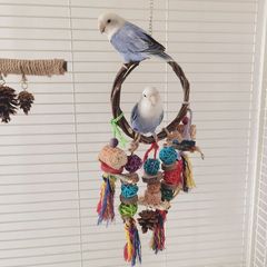 Parrot biting apple tree branch vine ball weaving ring bird boredom toy climbing perch pole grinding beak colorful rope toy