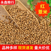 �S�����l�F�ݴ��b25����t޲�� ����s�Z�t޲�� ��؛޲���׼t޲��