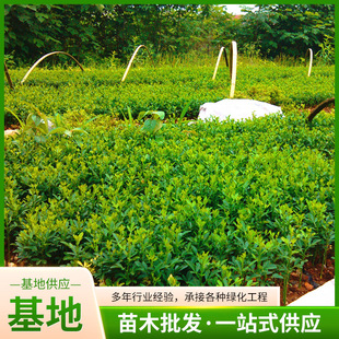 �G�h���̘���h�ʖř��F�hկ�׌���޽���ľ�oԺֲ���������ך���