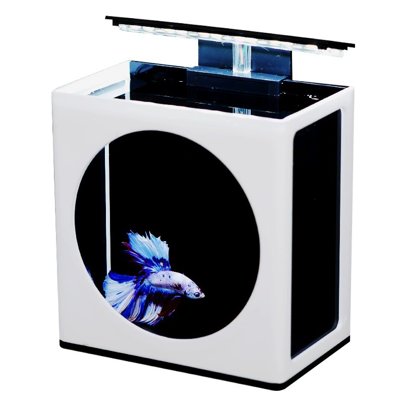 Таиланд ведро аквариум простое ведро рыбный дисплей цилиндр офисный экологический микроцилиндр декоративная рыба мини настольная поверхность Цилиндр C1 второго поколения